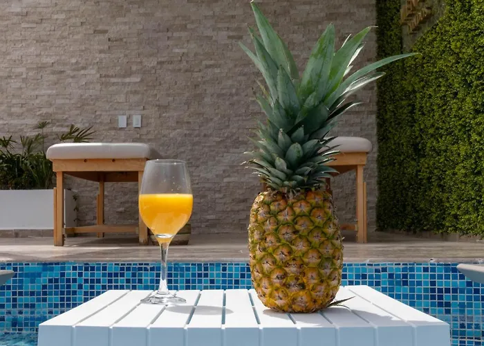 New Luxury In The Center Appartement Playa del Carmen